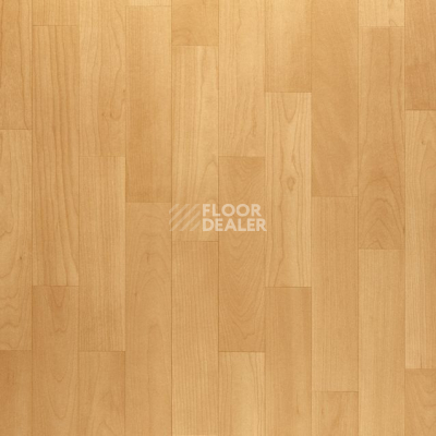 Линолеум Grabo Terrana Top Extra 4121-253 фото 1 | FLOORDEALER