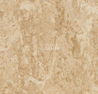 Линолеум Forbo Marmoleum Decibel 270735 фото 1 | FLOORDEALER