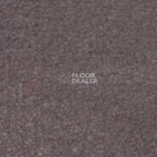Ковролин Shaw Bradberry 30 881 фото 1 | FLOORDEALER