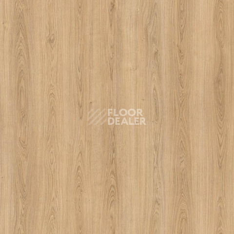Пробковое покрытие Wood Resist Eco FDYD001   Royal Oak фото 1 | FLOORDEALER