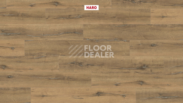Ламинат Haro Tritty 200 Aqua 4V Дуб Металлик Натур 544775 фото 2 | FLOORDEALER