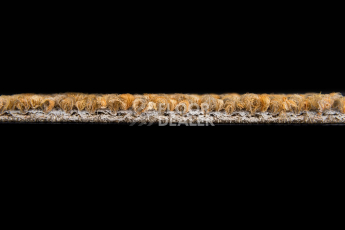 Desso Retrace ac 63 6022 фото 4 | FLOORDEALER
