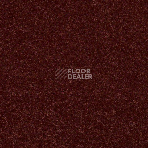 Ковролин Shaw Design Texture Platinum 642 фото 1 | FLOORDEALER