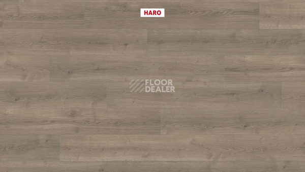 Ламинат Haro Tritty 90 Дуб Бари Серый 544678 фото 2 | FLOORDEALER