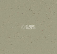 Линолеум Forbo Marmoleum Solid Cocoa 3593 matcha фото 1 | FLOORDEALER