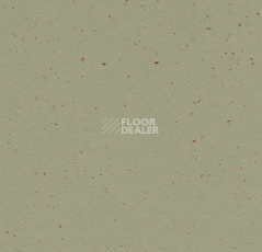 Линолеум Forbo Marmoleum Solid Cocoa 3593 matcha фото 1 | FLOORDEALER