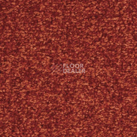 Ковролин Balsan Ultrasoft 550 фото 1 | FLOORDEALER