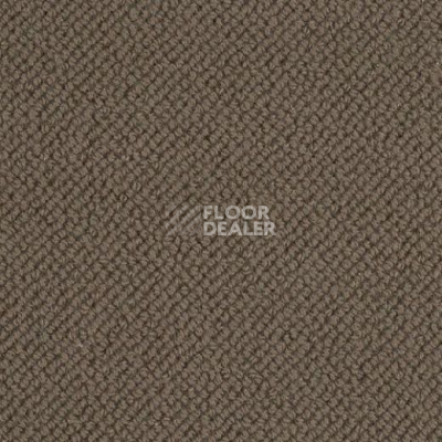 Ковролин Lano Oasis 280 фото 1 | FLOORDEALER