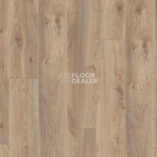 Kronotex Mammut Plus d3669 Дуб Макро Бежевый фото 5 | FLOORDEALER