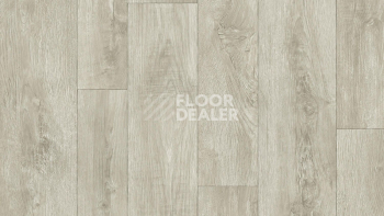 Линолеум Tarkett Gladiator DIAKIRI 1 фото 1 | FLOORDEALER