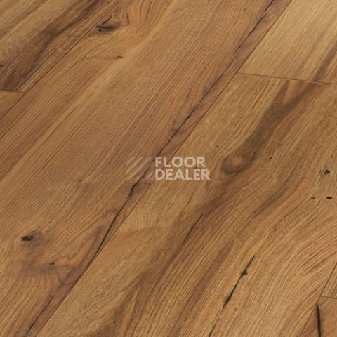 Ламинат Parador Basic Plus 200 V 1593998 Дуб History фото 1 | FLOORDEALER