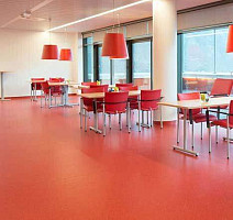 Gerflor Taralay Premium Brazilia