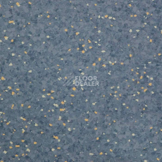 Линолеум Tarkett iQ Aria CARII-665 фото 1 | FLOORDEALER
