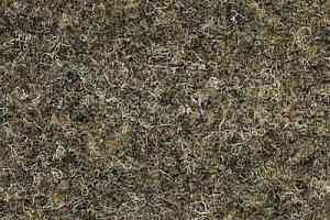 Ковролин Finett 80 1280 фото  | FLOORDEALER