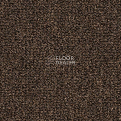 Ковролин Balsan Les Best 695 фото 1 | FLOORDEALER