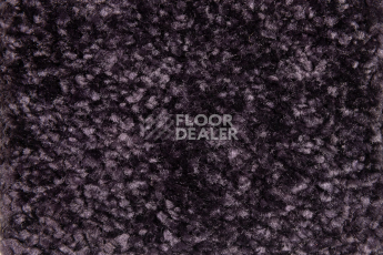 Balsan Sweet Dreams 890 фото 2 | FLOORDEALER