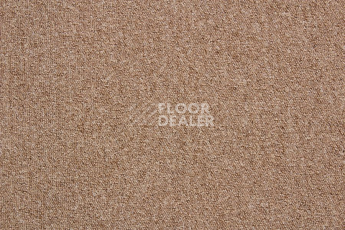 Ковровая плитка Betap Baltic 68 фото 1 | FLOORDEALER