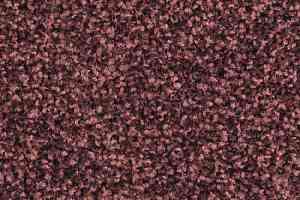 Ковровая плитка Balsan Mezzo 590 фото  | FLOORDEALER