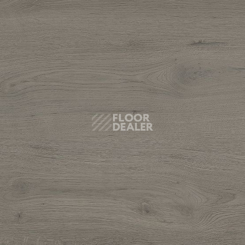 Линолеум Gerflor Taralay Initial Compact (wood) 0977 Twist Grey фото 1 | FLOORDEALER