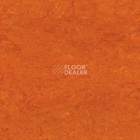 Линолеум Gerflor Marmorette DLW  2mm 0117 Mandarin Orange фото 1 | FLOORDEALER