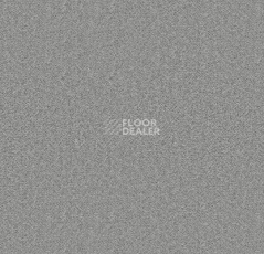 Ковролин Forbo Showtime Nuance 900220 фото 1 | FLOORDEALER