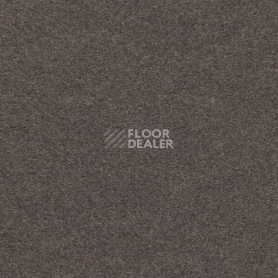 Ковролин Finett Feinwerk 403513 фото 1 | FLOORDEALER