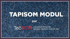 Tapisom