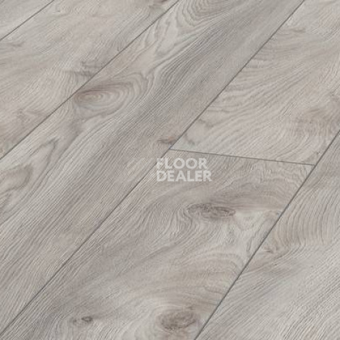 Ламинат Kronotex Mammut Plus d4793 Дуб Белый Макро фото 1 | FLOORDEALER