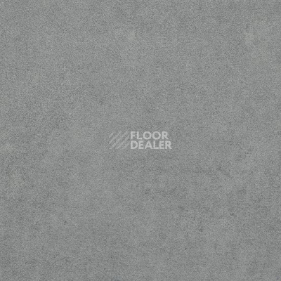 Линолеум Gerflor Taralay Initial Compact (Plain & allover look) 0964 Miami Souris фото 1 | FLOORDEALER