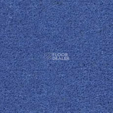 Ковролин Radici Montecarlo 34 фото 1 | FLOORDEALER