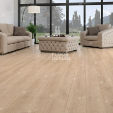 Alpine Floor Premium 10мм P1002  ДУБ НАТУР фото 2 | FLOORDEALER