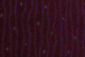 Ковролин Balsan Les Best Design II - Bagatelle Bagatelle 880 фото  | FLOORDEALER