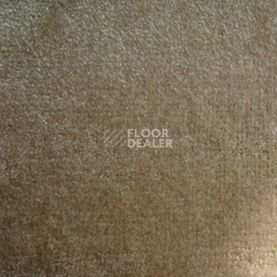 Ковролин Дюна Тафт Napoli 002 фото 1 | FLOORDEALER
