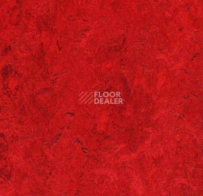 Кварцвиниловые полы Forbo Marmoleum Modular Colour 3127 фото 1 | FLOORDEALER