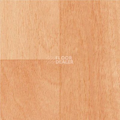 Линолеум Graboflex Gymfit Wood 50 4217-671-1 фото 1 | FLOORDEALER