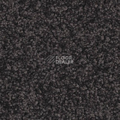 Ковровая плитка Balsan Serenite 981 фото 1 | FLOORDEALER