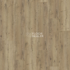 Kronotex Mega Plus d3668 Дуб Неброский фото 5 | FLOORDEALER
