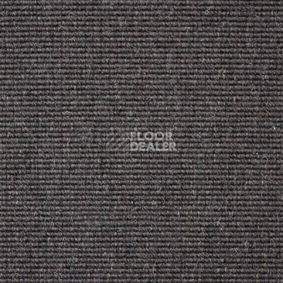 Ковролин Carpet Concept Eco Wool 595015 фото 1 | FLOORDEALER
