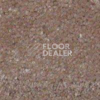 Ковролин Hidden Treasure Beaulie of America Mocha Creme фото 1 | FLOORDEALER
