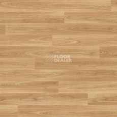 Линолеум Polyflor Forest FX Pur 3380 фото 1 | FLOORDEALER
