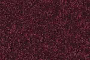 Ковролин Balsan Serenite 590 фото  | FLOORDEALER