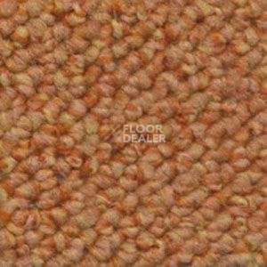 Ковролин Dura Loop 331 фото 1 | FLOORDEALER