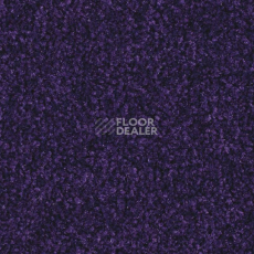 Ковролин Balsan Scenario 895 фото 1 | FLOORDEALER
