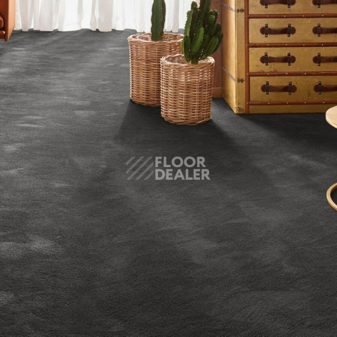 Vorwerk Exclusive 1060 Safira 9d78 фото 2 | FLOORDEALER