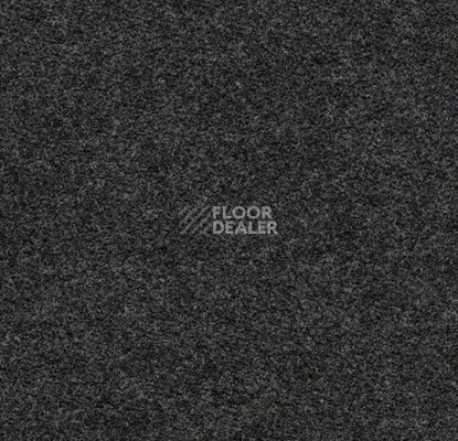 Ковролин Forbo Flotex wonderlab 07 900269 Carbon фото 1 | FLOORDEALER