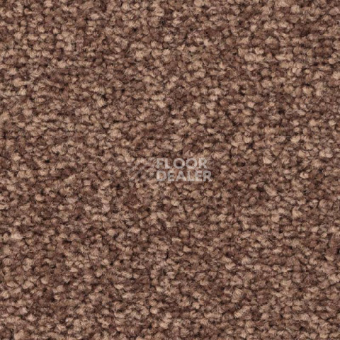 Ковролин Balsan First Class 665 фото 1 | FLOORDEALER