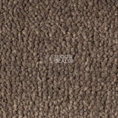 Ковролин Edel Vanity 173 фото 1 | FLOORDEALER