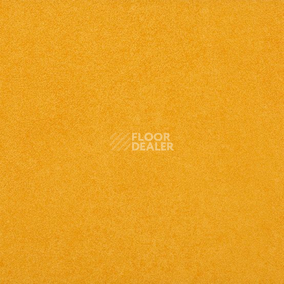 Линолеум Gerflor Taralay Initial Compact (Plain & allover look) 0952 Miami Soleil фото 1 | FLOORDEALER