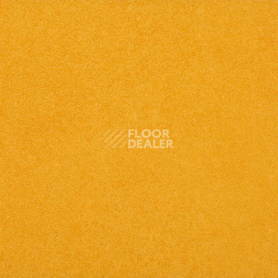Линолеум Gerflor Taralay Initial Compact (Plain & allover look) 0952 Miami Soleil фото 1 | FLOORDEALER