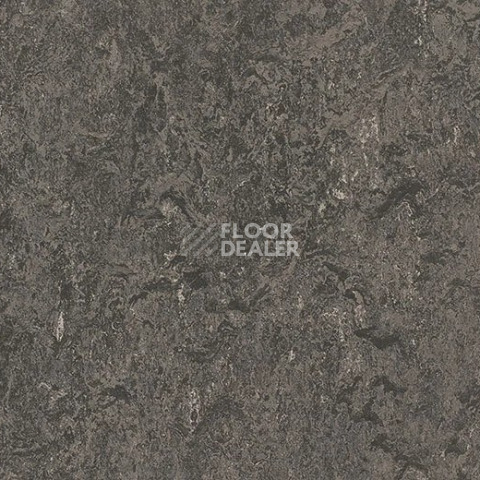 Линолеум Forbo Marmoleum Decibel 304835 graphite фото 1 | FLOORDEALER